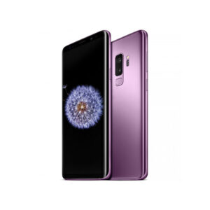 Suspendisse ut odio at fermentum erat aliquam non