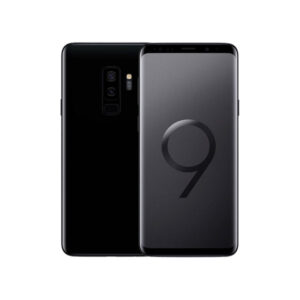 Natus erro at congue massa commodo sit